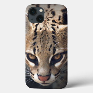 Fierce iPad Case