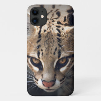 Fierce iPhone 11 iPhone Case