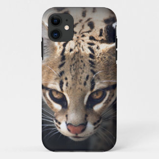 Fierce iPhone 5 Case