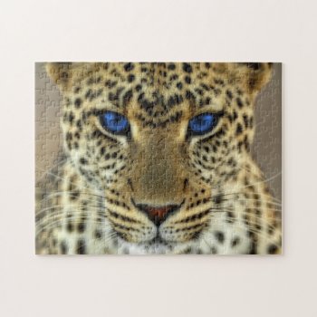 Fierce Leopard Jigsaw Puzzle by Wilderzoo at Zazzle