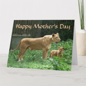 Fierce Momma Lion Mother's Day Big Card by erinphotodesign at Zazzle