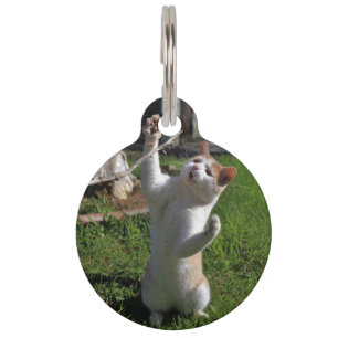 Fierce Predator Pet ID Tag