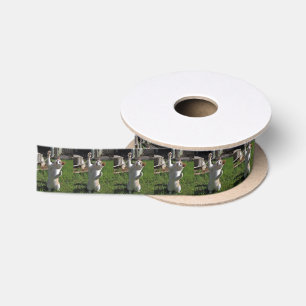Fierce Predator Satin Ribbon