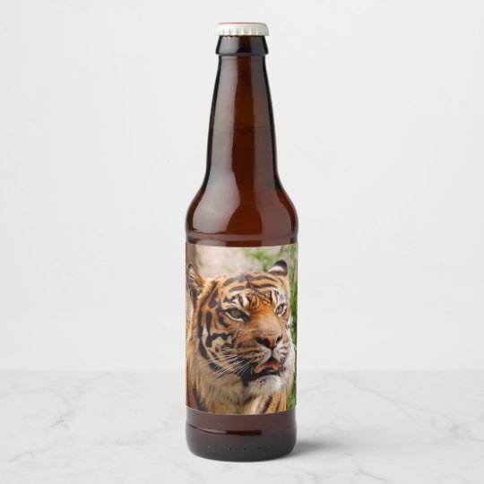 Fierce tiger beer bottle label | Zazzle.com