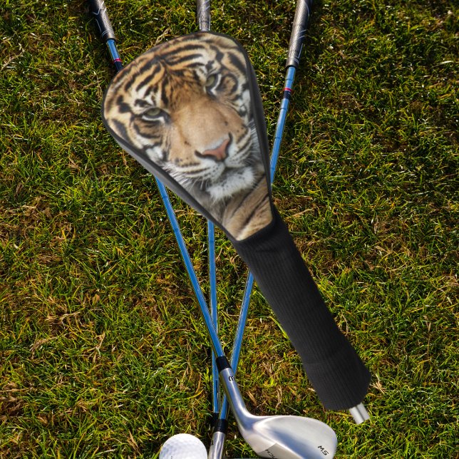 Fierce Tiger Face Photo Golf Head Cover (In Situ Golfing)