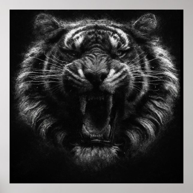 fierce tiger roaring aesthetic sketch art poster (Front)