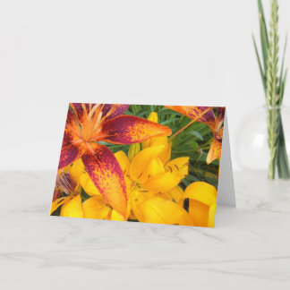 Fiery Asiatic Lilies Greeting Card