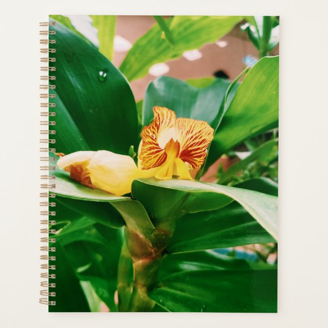 Fiery Costus Flower Insulin Plant Planner (Front)