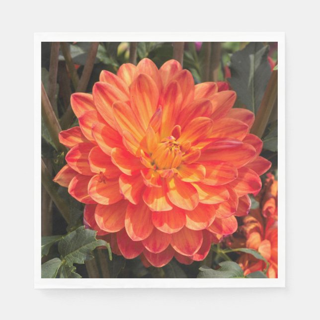 Fiery Dahlia Paper Napkins (Front)