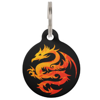FIERY DRAGON PET NAME TAG