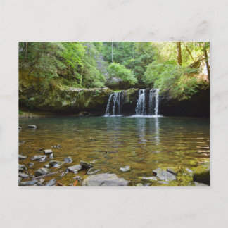 Fiery Gizzard Trail Tennessee Postcard