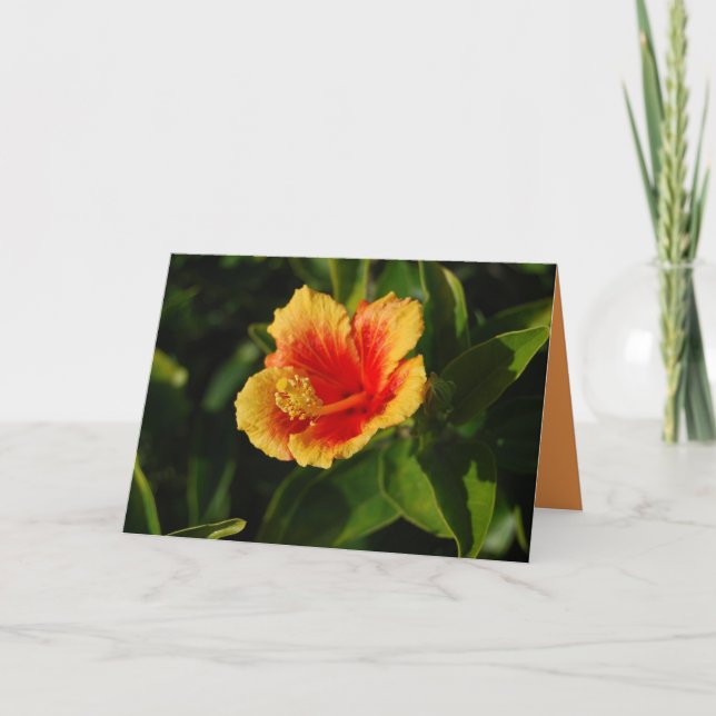 Fiery Hibiscus Happy Birthday Card (Front)