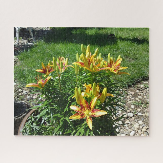 Fiery Lily Flower Jigsaw Puzzle (Horizontal)