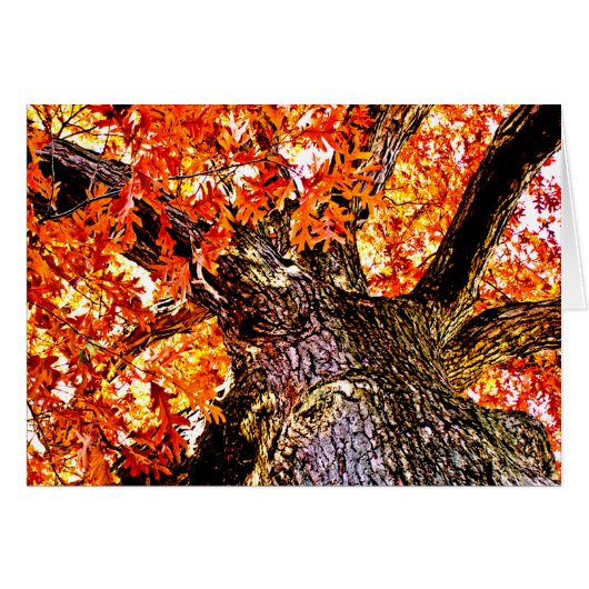Fiery Oak Cards (Front Horizontal)