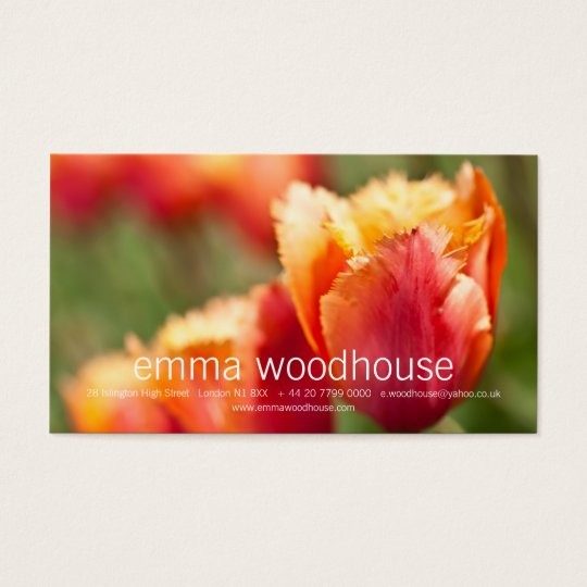 Fiery Orange Fringed Tulip Business Card