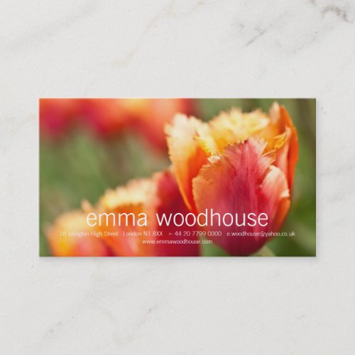 Fiery Orange Fringed Tulip Business Card Template