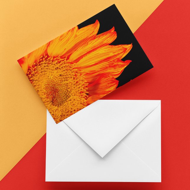 Fiery Orange Sunflower Blank Inside  Cards (Sunny Greetings Notecard: Brighten any day with this vibrant orange sunflower notecard.)