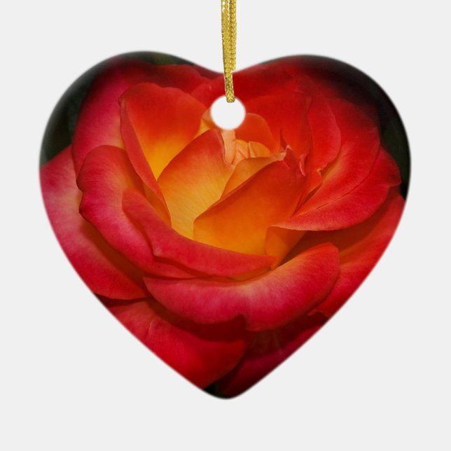 Fiery Red Rose Ceramic Ornament (Front)