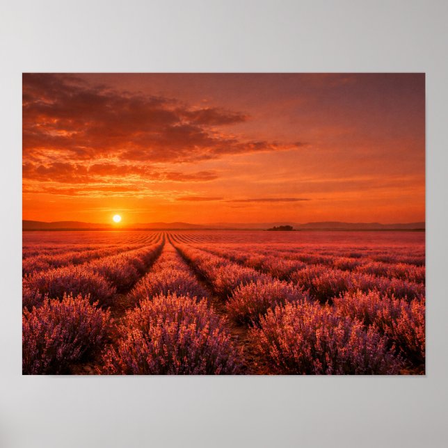 Fiery Sunset Lavender Fields Poster - Warm Orange (Front)