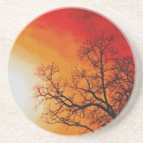 Fiery Sunset  Tree Nature Art Coaster