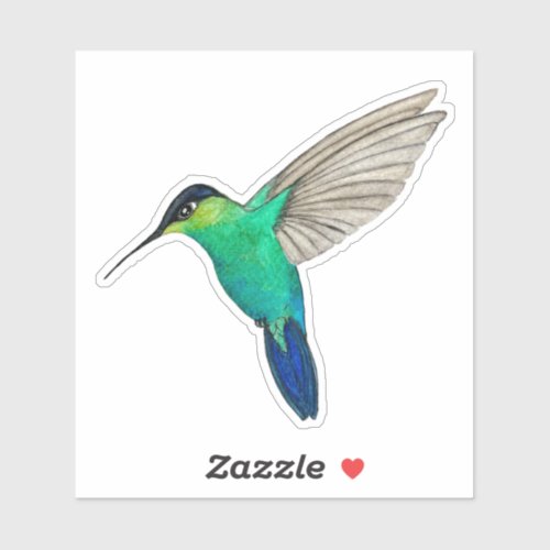 Fiery_throated Hummingbird Sticker