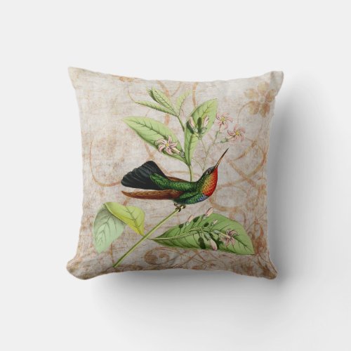 Fiery Throated Hummingbird Vintage Grunge Pillow