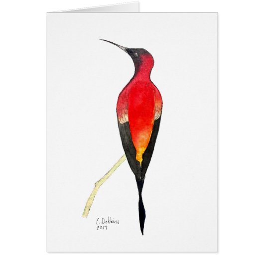 Fiery Topaz Hummingbird Cards (Front)