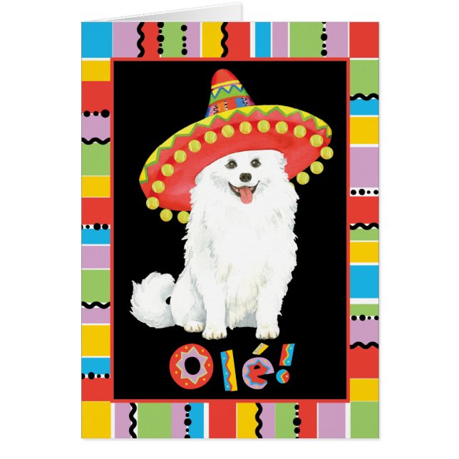 Fiesta American Eskimo Dog (Front)