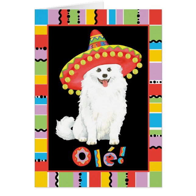 Fiesta American Eskimo Dog Cards (Front)