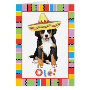 Fiesta Berner Greeting Card