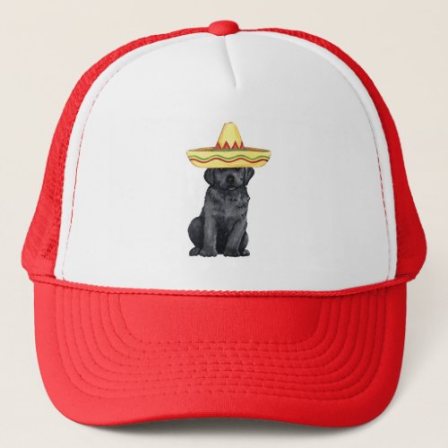 Fiesta Black Lab Trucker Hat