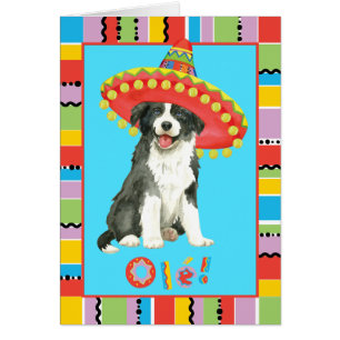 Fiesta Border Collie Greeting Card