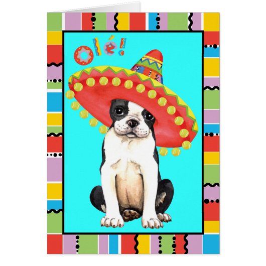 Fiesta Boston Terrier Cards (Front)