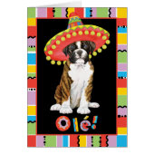 Fiesta Boxer (Front)