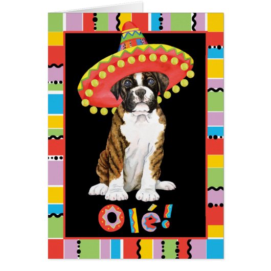 Fiesta Boxer Cards (Front)