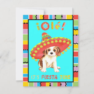 Fiesta Cavalier Invitation