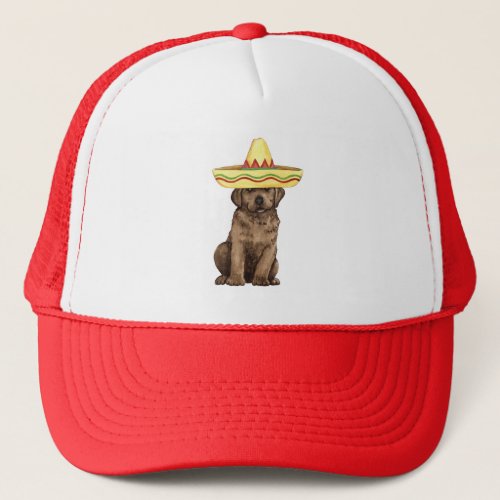 Fiesta Chocolate Lab Trucker Hat