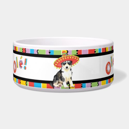 Fiesta Husky Pet Bowl