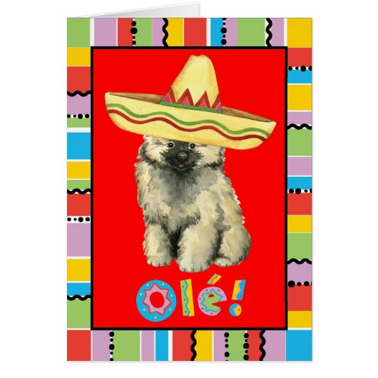 Fiesta Keeshond Greeting Card (Front)