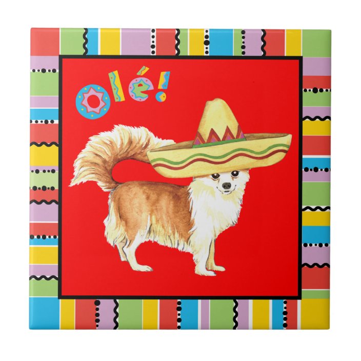 Fiesta Long Coat Chihuahua Tile | Zazzle