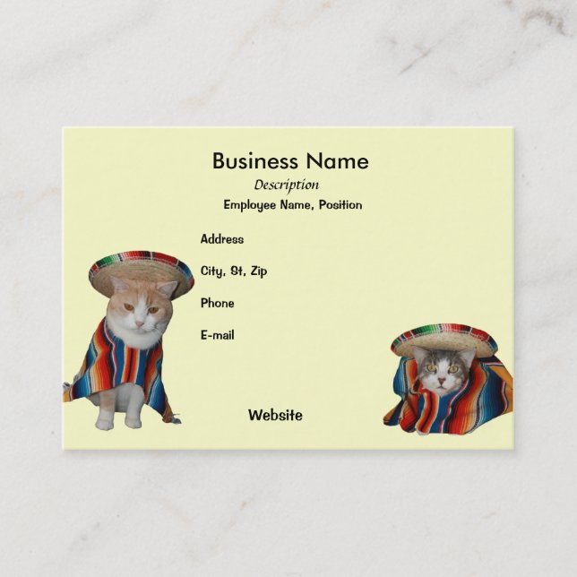 Fiesta/Mexican/Hispanic Theme Business Card (Front)