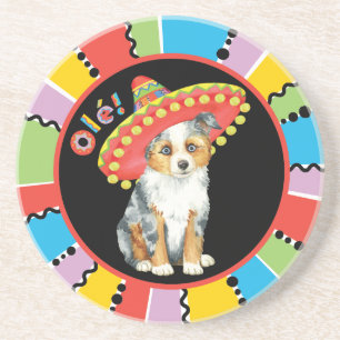 Fiesta Miniature American Shepherd Coaster