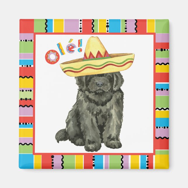 Fiesta Newfoundland Magnet (Front)