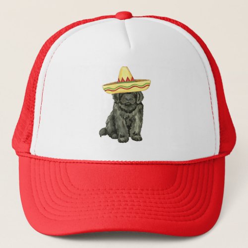 Fiesta Newfoundland Trucker Hat