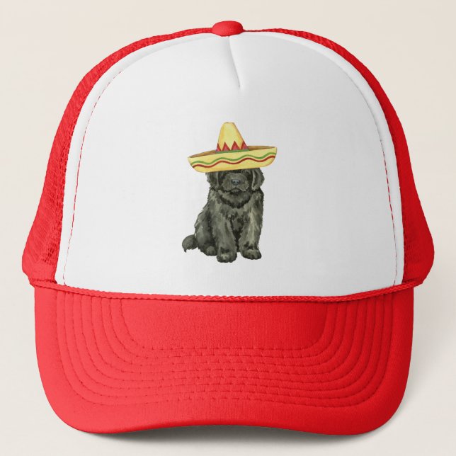 Fiesta Newfoundland Trucker Hat (Front)