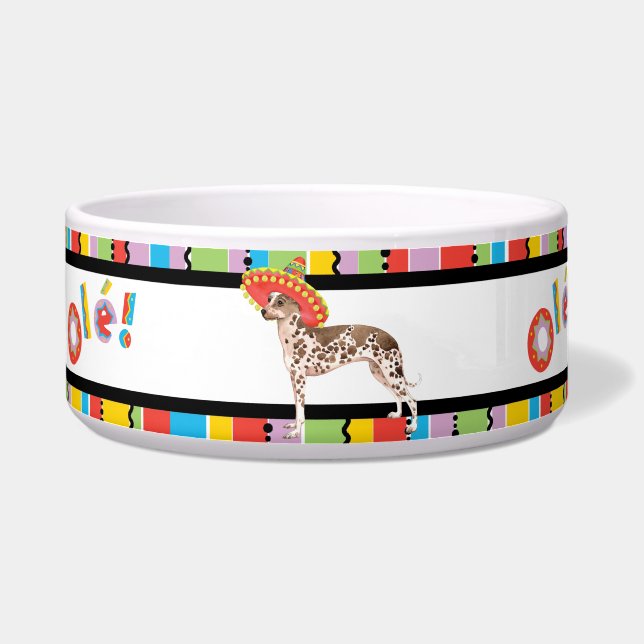 Fiesta Peruvian Inca Orchid Pet Bowl (Left)