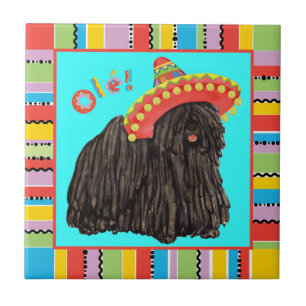 Fiesta Puli Ceramic Tile