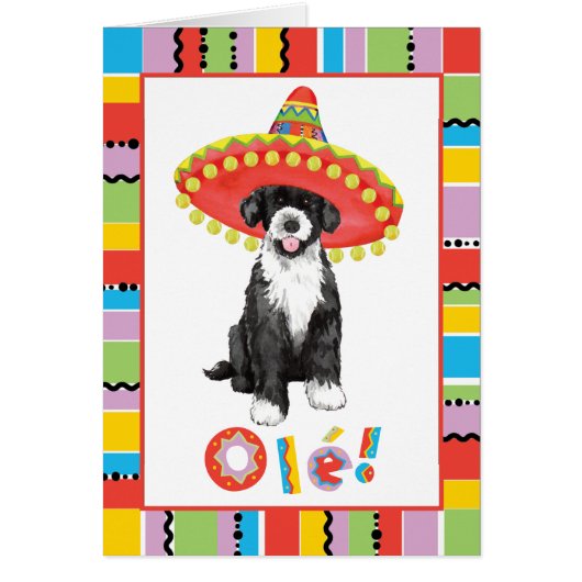 Fiesta PWD Cards (Front)