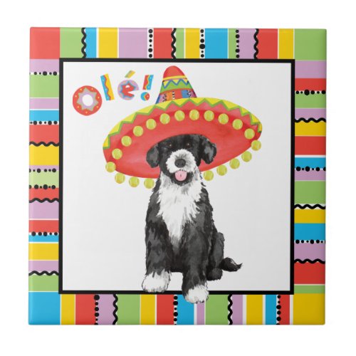 Fiesta PWD Tile