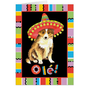 Fiesta Sheltie Card